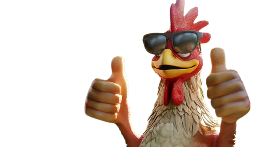 rooster